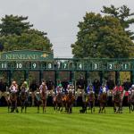 2026 Breeders' Cup Turf at a Glance